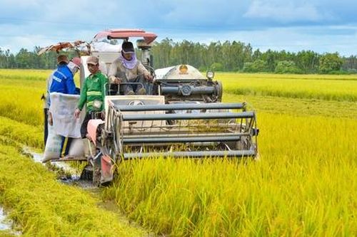 Nghịch lý muốn thừa kế đất nông nghiệp phải có giấy xác nhận là... 'nông dân'