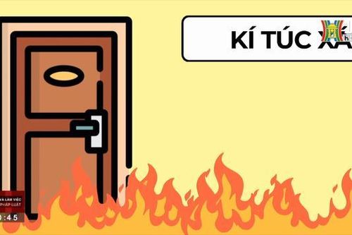 Trách nhiệm của người gây ra hỏa hoạn| Sống và làm việc theo pháp luật| 10/10/2023