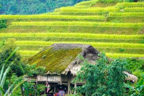 Kỳ 3: Những mái nhà rêu phong trên dãy Tây Côn Lĩnh