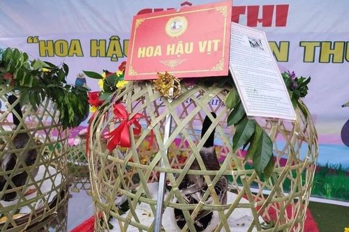 'Hoa hậu vịt' gây sốt ở Lạng Sơn, bán đấu giá 35 triệu đồng