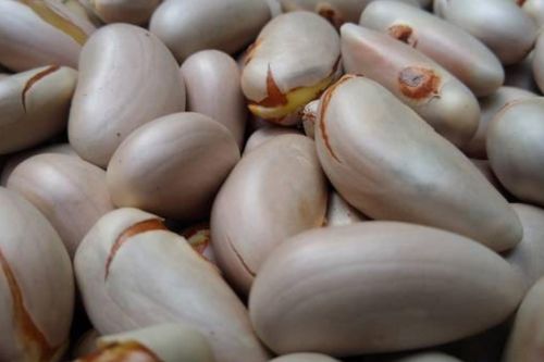 Tác dụng ít người biết của hạt mít