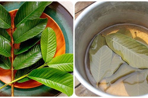 Loại lá này vừa đắng lại chát xít nhưng rất tốt cho sức khỏe