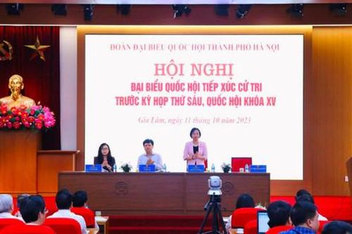 Cử tri kiến nghị sớm xây dựng 3 cầu phía Đông Bắc Hà Nội