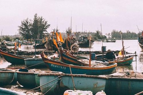Bà Rịa – Vũng Tàu: Kiến nghị một số giải pháp xử lý tàu cá neo đậu ở bến tự phát