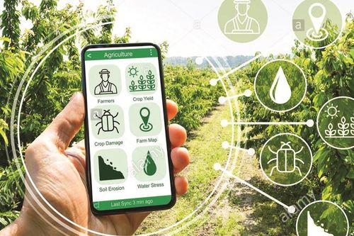 Chuyển đổi số thúc đẩy phát triển kinh tế nông nghiệp