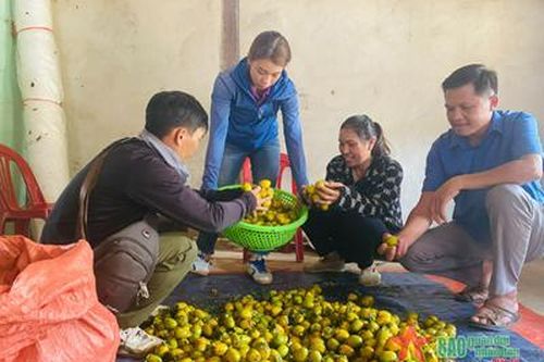 Xây dựng thương hiệu hồng không hạt
