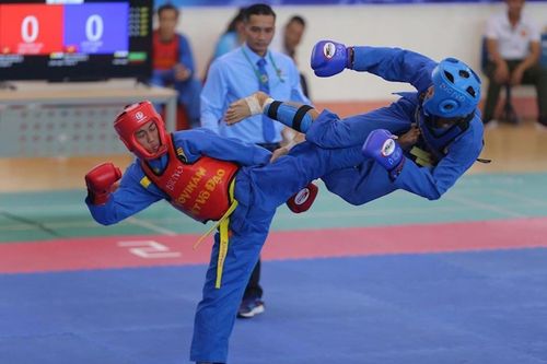 Gần 450 HLV, VĐV dự Giải Vô địch Vovinam toàn quốc năm 2023