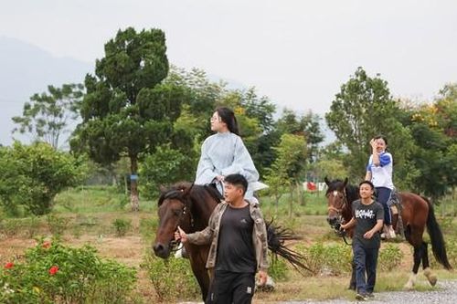 Sinh viên trải nghiệm cưỡi ngựa, bắn cung trong lễ khai giảng