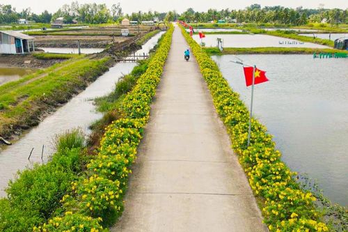 Xây dựng nông thôn mới đi vào thực chất