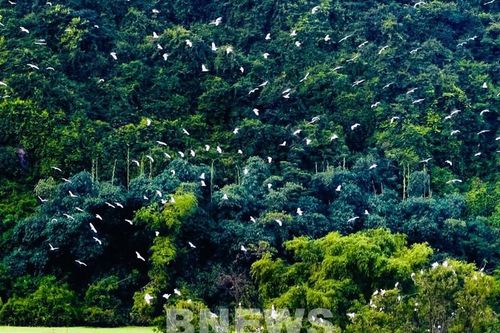 Thung Nham – bản giao hưởng của thiên nhiên