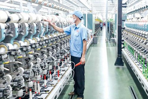 Khai thác dữ liệu số và kết nối thông minh thúc đẩy tăng trưởng kinh tế