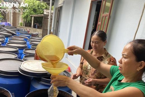 'Bệ đỡ' từ nguồn vốn vay chính sách ở Quỳnh Lưu