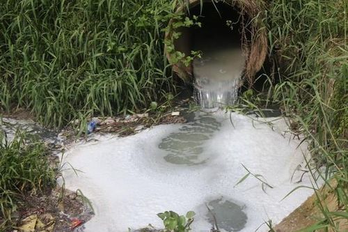Đắk Nông: Xả thải sai quy định, 4 chủ trang trại bị phạt gần 1 tỷ đồng