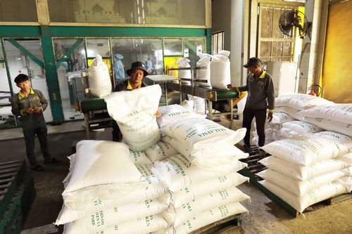 Việt Nam sẽ là nguồn cung chính cho đợt thu mua gạo của Indonesia