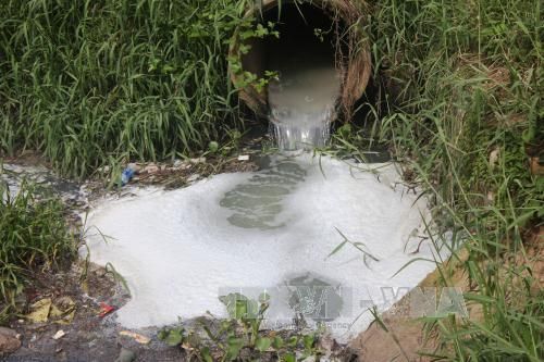 Xả thải sai quy định, 4 chủ trang trại chăn nuôi bị phạt gần một tỷ đồng