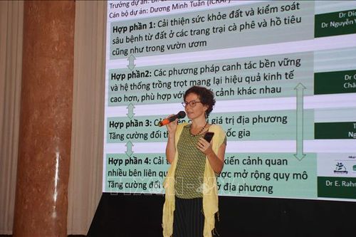 Nâng cao giá trị kinh tế của cây cà phê và hồ tiêu