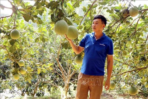 Bệnh tật không quật ngã ý chí