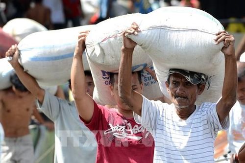 Khủng hoảng gạo ở Philippines - 'hồi chuông' cảnh báo lạm phát toàn cầu