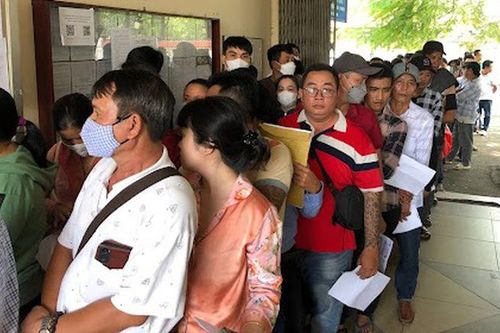 TPHCM: Nhiều người xin nghỉ làm để đi đổi giấy phép lái xe