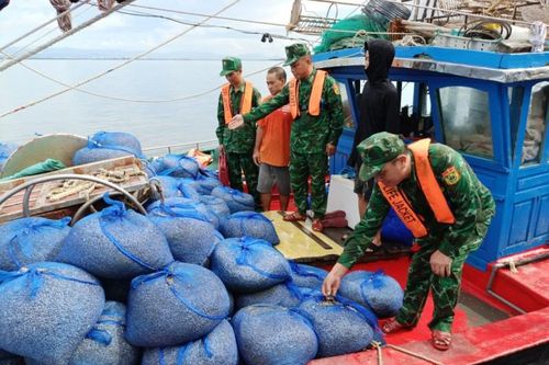 Quảng Ninh: Bắt 7 tàu khai thác thủy sản trái phép trên vùng biển Móng Cái