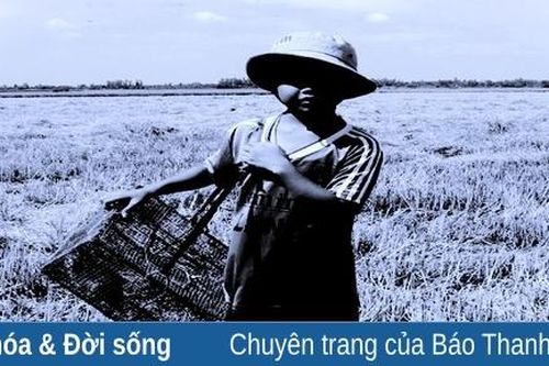 Trong miền ký ức: Cu Chít bắt chuột...
