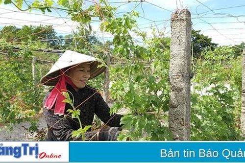 Chi hội trưởng phụ nữ làm kinh tế giỏi