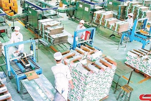 Chủ động, sáng tạo, xây dựng chiến lược sản xuất, kinh doanh bền vững