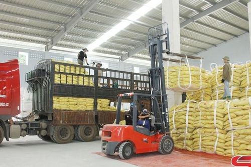 Đồng hành cùng nông dân trong sản xuất nông nghiệp