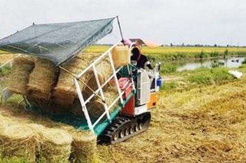 Nhân rộng mô hình máy cuộn rơm