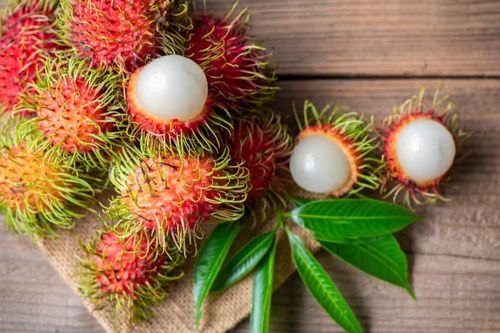 New Zealand dự kiến nới lỏng kiểm dịch thực vật với một số trái cây Việt Nam