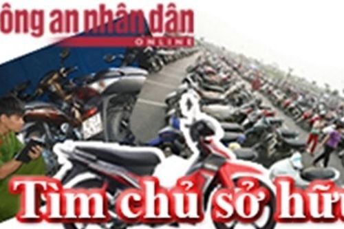 Tìm chủ phương tiện liên quan đến vụ án tàng trữ trái phép chất ma túy