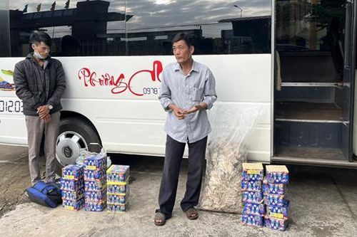 Ém pháo hoa trong ba lô, thùng nhựa rồi tống lên xe khách