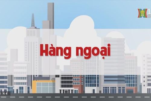 Hàng ngoại | Chuyện quanh ta | tập 174 | 12/10/2023