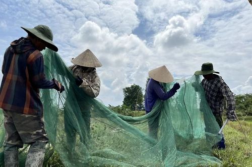Kiếm tiền triệu mỗi ngày dễ như bỡn, người dân Nghệ An chỉ cần làm một việc đơn giản ít ai ngờ