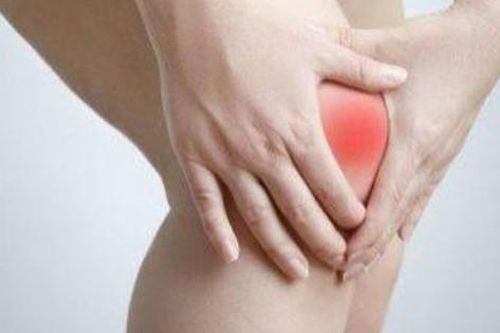 11 bài thuốc chữa bệnh từ cây cơm cháy