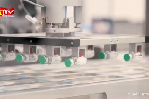 Vaccine phòng sốt xuất huyết của Nhật Bản sẽ được tiêm thử nghiệm ở Việt Nam
