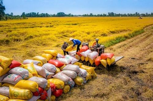 Tính chuyện đường dài cho nông sản