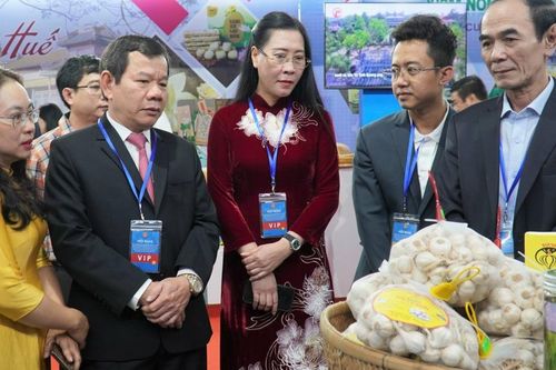 'Giới thiệu Quảng Ngãi' để quảng bá, thu hút đầu tư