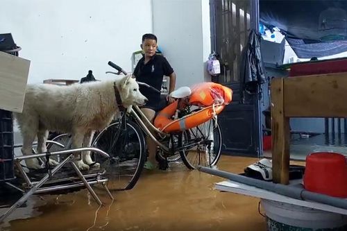 Dân Đà Nẵng tất tả chạy lụt