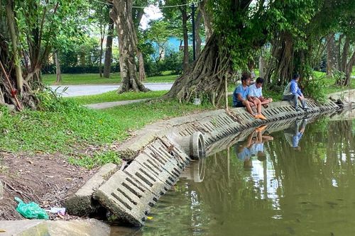 Ba công viên được chi gần 900 trăm tỷ để cải tạo lại không gian xanh