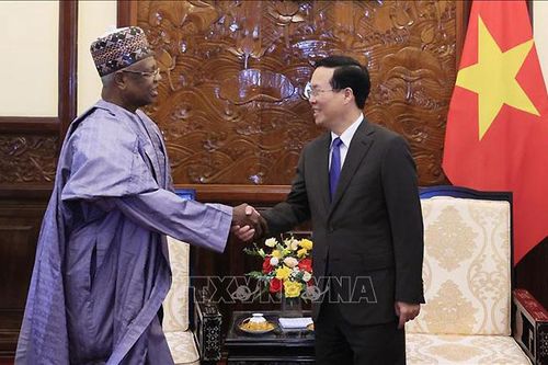 Việt Nam-Nigeria cần mở rộng hợp tác trên nhiều lĩnh vực khác nhau