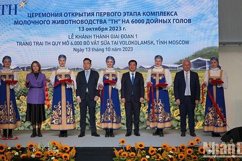 Dự án có tính biểu tượng hợp tác kinh tế, thương mại giữa Việt Nam và Liên bang Nga