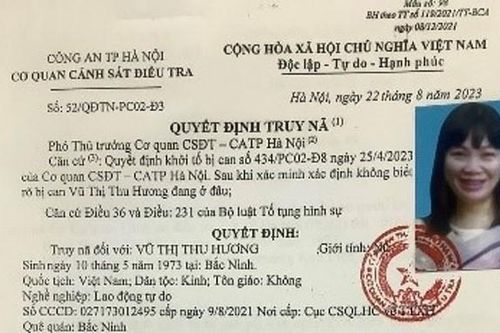 'Nữ quái' mạo danh Phó tổng Giám đốc tập đoàn lừa hơn 32 tỷ đồng
