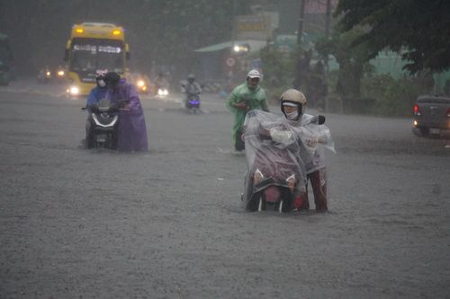 Mưa trắng trời, Đà Nẵng sẵn sàng triển khai phương án sơ tán dân