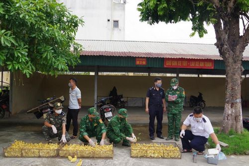 Tăng cường kiểm soát, ngăn chặn gia cầm nhập lậu qua biên giới Lạng Sơn