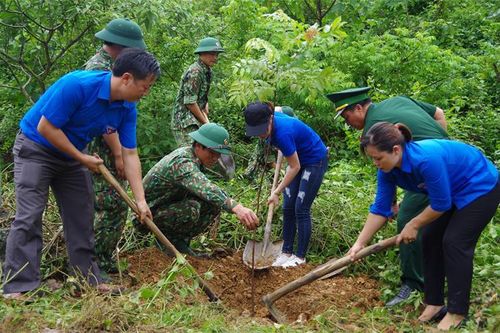 Quy định về giao khoán bảo vệ rừng cho đồn Biên phòng đóng quân tại địa bàn
