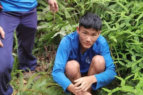 Nam sinh Hồng Kông 'ăn lá cây, uống nước suối' suốt 7 ngày lạc trong công viên