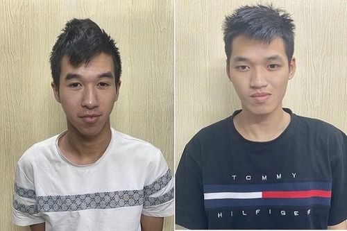 Triệt phá nhóm đối tượng thực hiện hơn 20 vụ trộm cắp tài sản tại nhiều tỉnh, thành