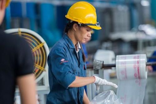 Doanh nhân, doanh nghiệp Việt từng bước lớn mạnh, vươn ra thế giới