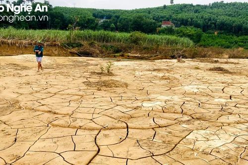 Bùn đá vùi lấp cánh đồng, công trình thủy lợi hư hỏng... sau lũ ở Quỳ Châu